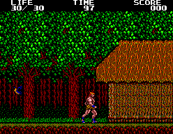 Danan: The Jungle Fighter screenshot 4 for Sega Master System